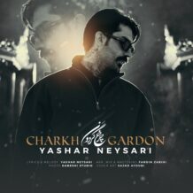 آهنگ جدید یاشار نیساری به نام چرخ گردون